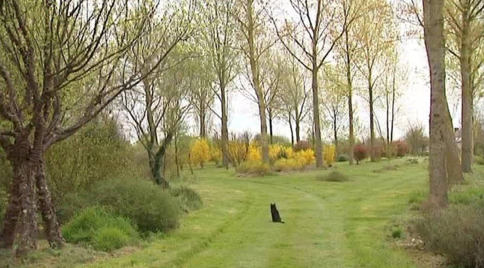 Arboretum de la Petite Loiterie, , France